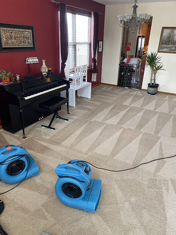 Refresh your home with expert carpet cleaning services from Wiz Team Inc. Call (847) 264-4946 today for a cleaner, healthier carpet!