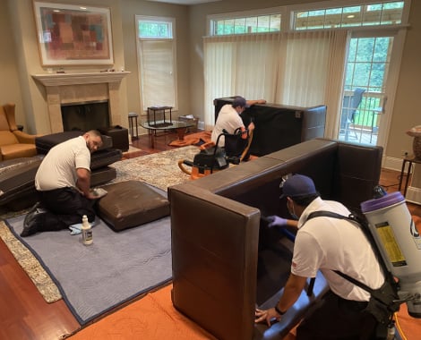Professional cleaners from Wiz Team, Inc. meticulously cleaning upholstery in a spacious living room, emphasizing quality restoration and attention to detail.