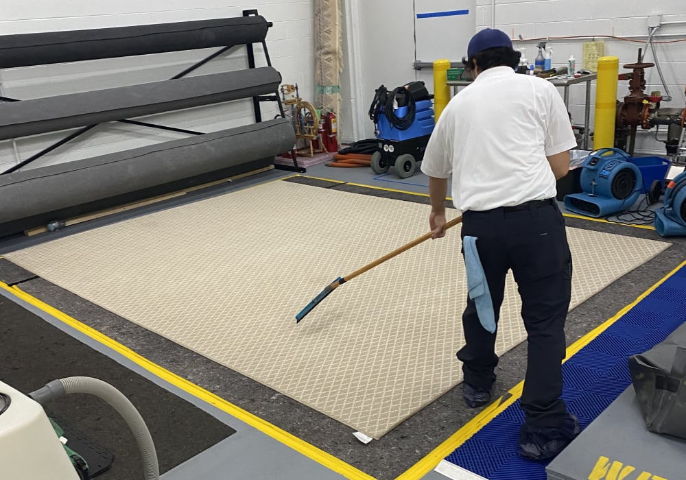 cleaning services in mundelein