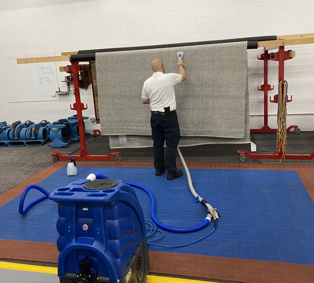 Professional cleaner using specialized equipment to clean an area rug, showcasing the cleaning process in a controlled environment with tools and hoses visible.