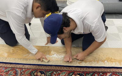 Two professionals from Wiz Team Inc. cleaning an area rug, using brushes and cleaning agents on a wooden floor.
