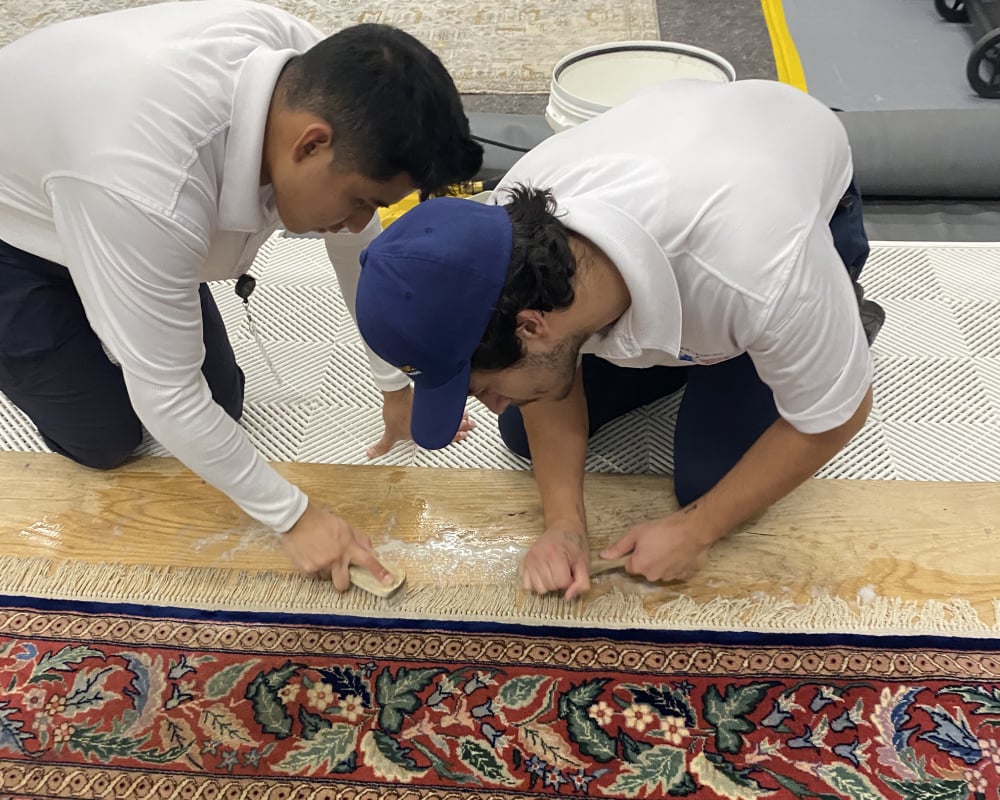 Two technicians cleaning an area rug using specialized tools, focused on restoring its condition and highlighting its intricate patterns.
