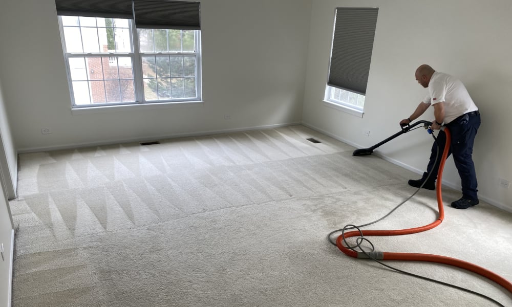 Professional cleaner using a vacuum to extract dirt from light-colored carpet in a spacious room with natural light.