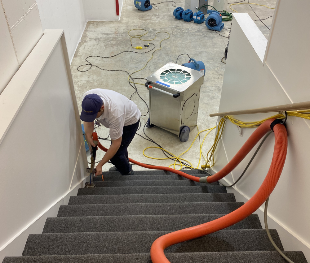 Technician cleaning carpeted stairs with specialized equipment, including hoses and a vacuum, in a well-lit indoor environment.