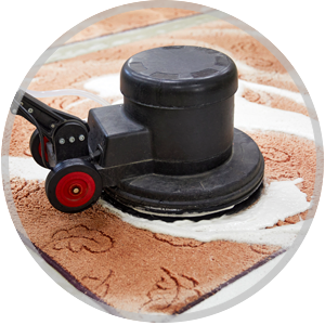 Area rug cleaning machine in action on a patterned rug, showcasing professional carpet cleaning services offered by Wiz Team Inc.