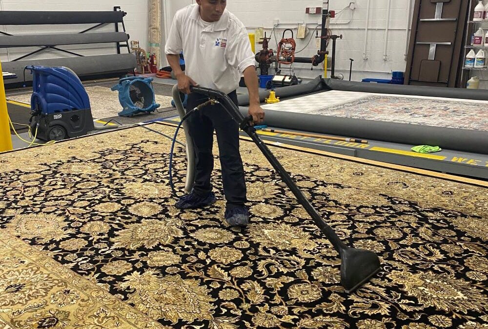 Professional cleaning technician using a vacuum extractor on an ornate area rug in a cleaning facility, highlighting effective stain removal techniques for home maintenance.