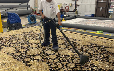 Professional cleaner using advanced equipment to deep clean an area rug in a well-equipped facility, emphasizing quality cleaning services offered by Wiz Team Inc.