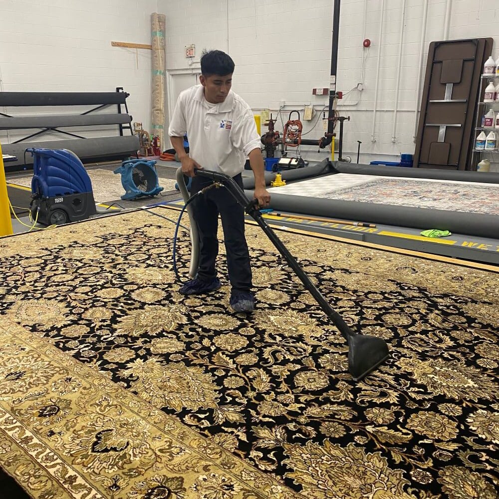 area rug cleaning service in lake forest 