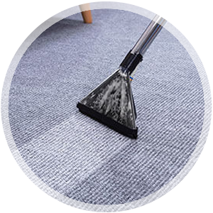 Carpet cleaning process with professional equipment, showcasing cleanliness and care for maintaining healthy home environments.