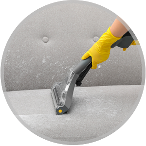 Upholstery cleaning process with a technician using a vacuum tool on a gray couch, emphasizing professional cleaning services offered by Wiz Team Inc.