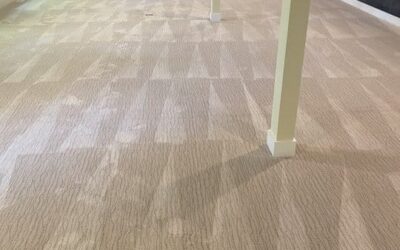 Clean carpet with visible patterns and shadows, showcasing the effects of professional carpet cleaning services by Wiz Team, emphasizing maintenance for allergy relief in homes.