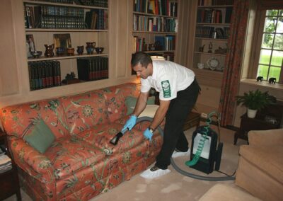 upholstery cleaning