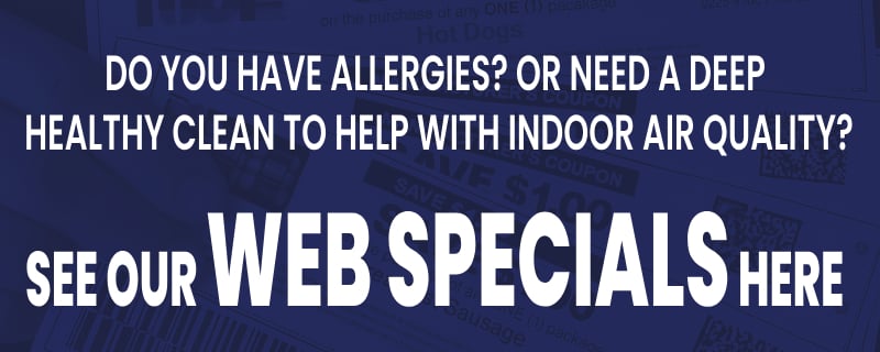 Web special promotion for carpet cleaning services highlighting benefits for allergy sufferers and indoor air quality improvement.
