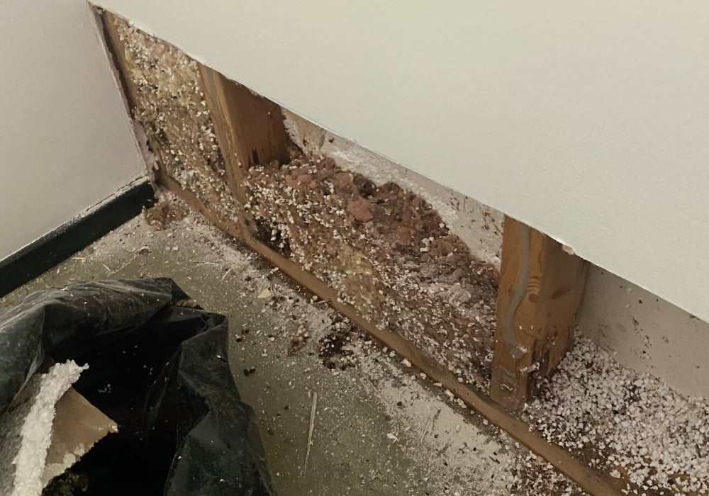 restoration and remediation service in lake forest 