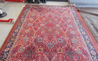 Area rug with intricate patterns and vibrant colors, showcasing professional cleaning techniques relevant to Lake Forest homeowners.