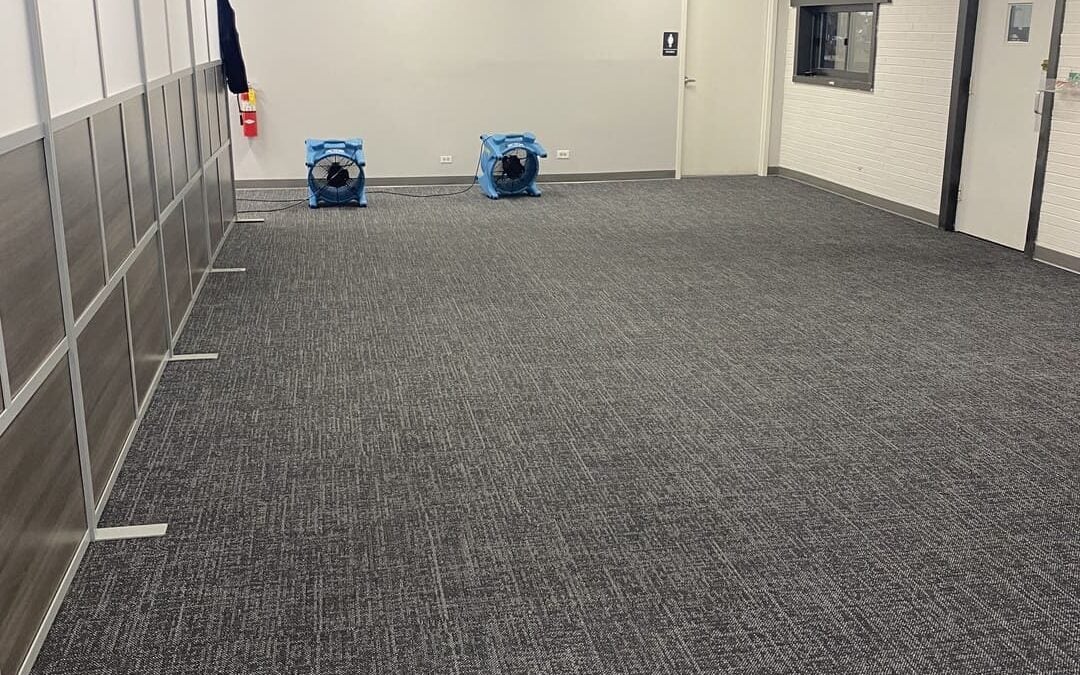 Commercial Carpet Restoration in Lake Zurich, Illinois &mdash; A Remarkable Office Transformation
