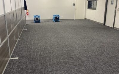 Commercial Carpet Restoration in Lake Zurich, Illinois &mdash; A Remarkable Office Transformation