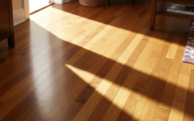 Shiny hardwood floor in a cozy living room, sunlight highlighting its beauty, emphasizing the importance of quality flooring maintenance for Lake Forest homeowners.