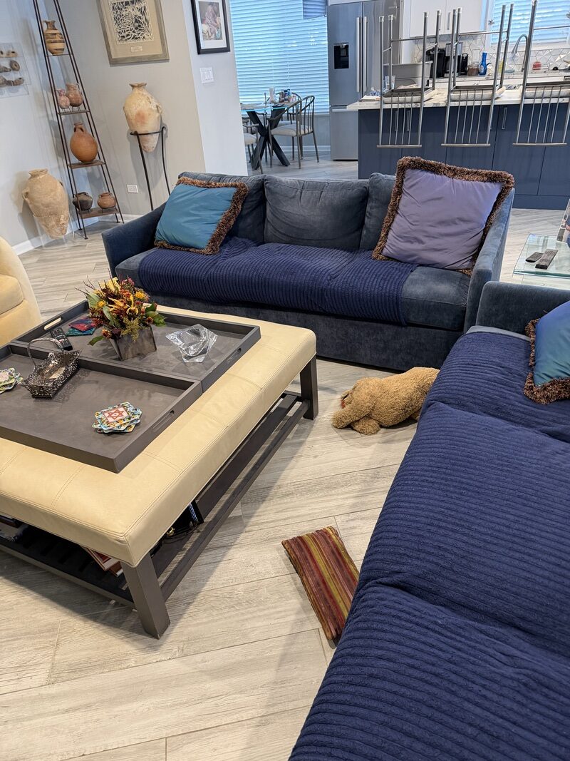 Cozy living room setting featuring navy blue and beige sofas, decorative pillows, a coffee table with a floral arrangement, and a visible tile floor, illustrating a comfortable home environment.