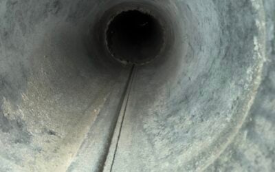 Air Duct & Dryer Vent Purification Transforms a Home in Deer Park, Illinois
