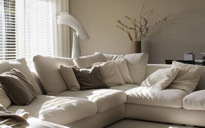 Professional Upholstery Cleaning Services in Lake Forest: How to Revive Your Sofa with Expert Cleaning