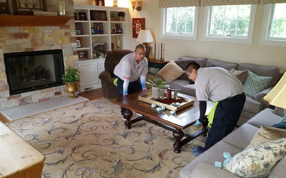 Why Choose Expert Area Rug Cleaning Services for Professional and Eco-Friendly Care?