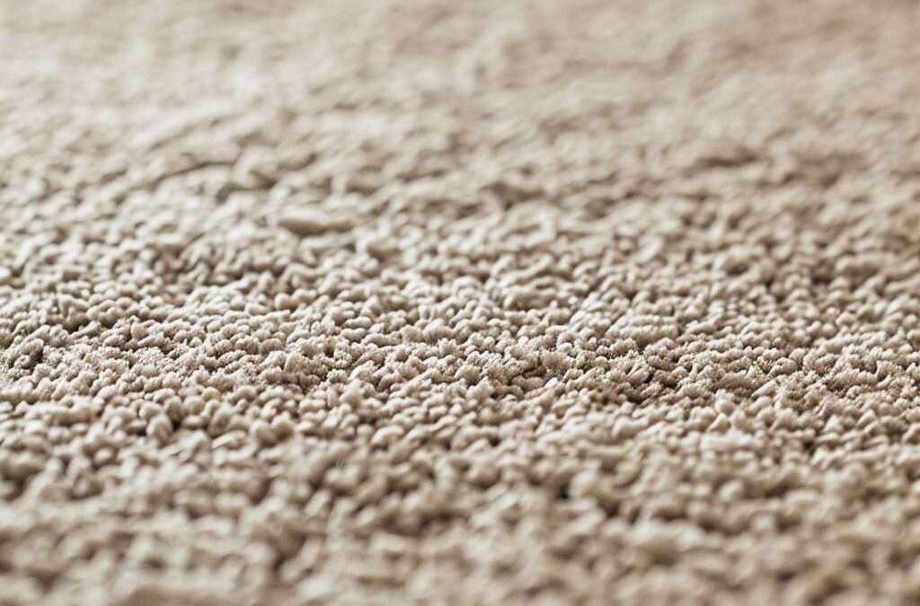Professional Carpet Cleaners in Lake Forest You Can Trust for Reliable Eco-Friendly Services