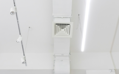 Air Duct Cleaning in Lake Zurich: The Wiz Team Approach to HVAC Sanitation