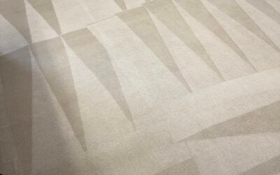 Fox Lake, IL Carpet Revival Erases Years of Stubborn Stains