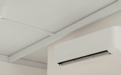 What Air Duct Cleaners Find Inside Lake Forest Home HVAC Systems