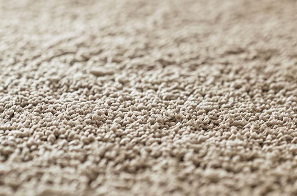 Professional Carpet Cleaning in Lake Forest, IL: A Complete Guide to Deep Carpet Care