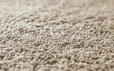 Professional Carpet Cleaning in Lake Forest, IL: A Complete Guide to Deep Carpet Care