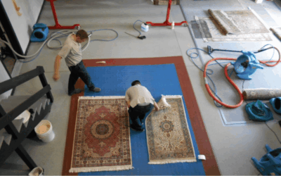 What Are the Key Differences Between On-Site and Off-Site Area Rug Cleaning?
