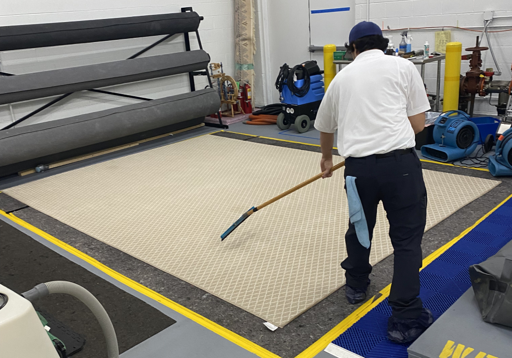 area-area-rug-cleaning-img (1) mundelein, il, area area rug cleaning