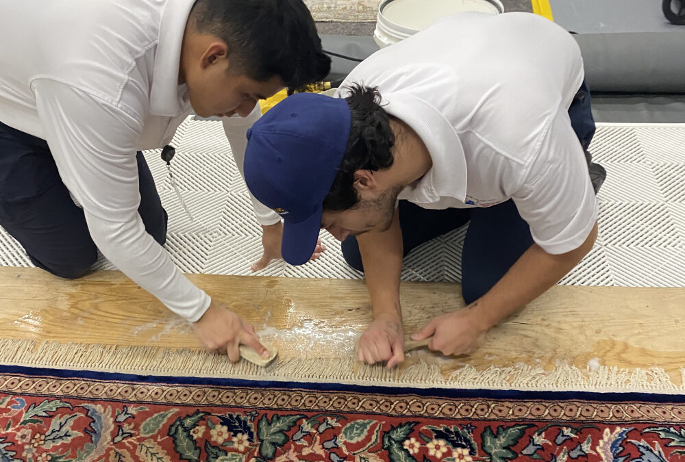 Why Is Rug Inspection Essential in the Professional Area Rug Cleaning Process?