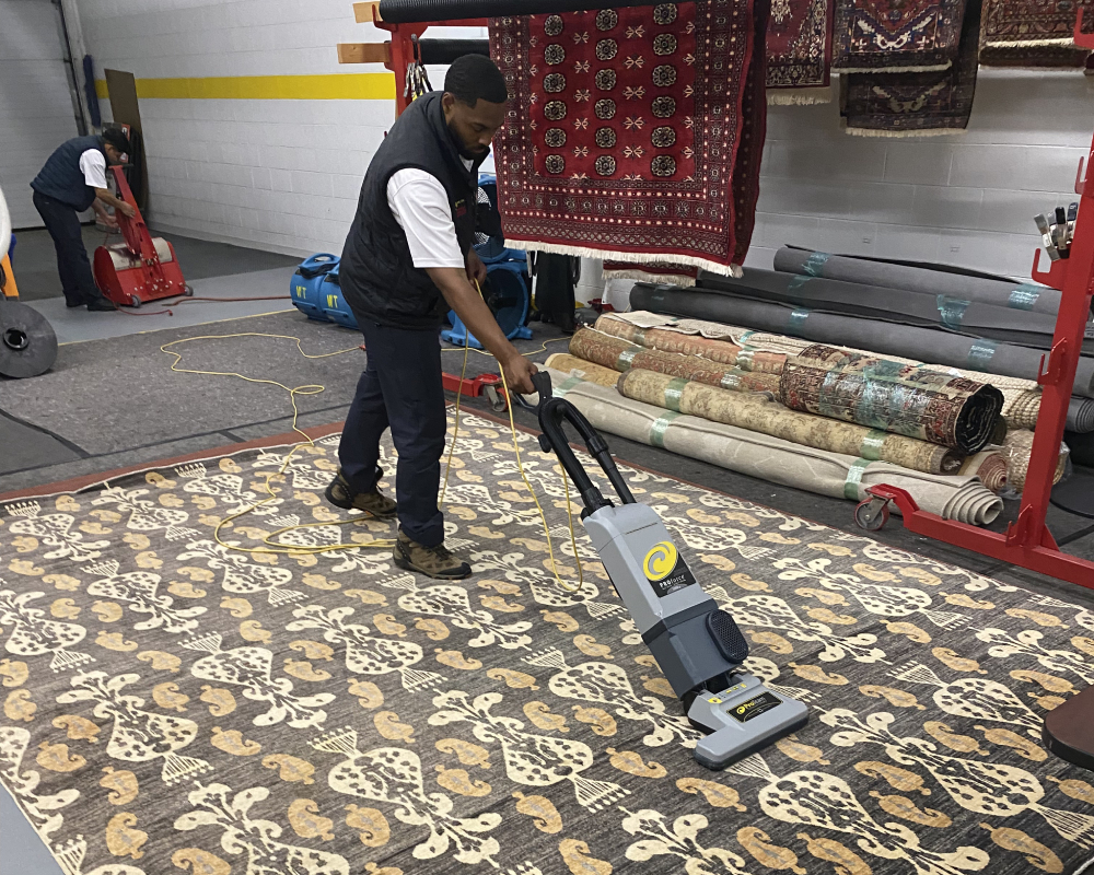 area-area-rug-cleaning-img libertyville, il, area area rug cleaning
