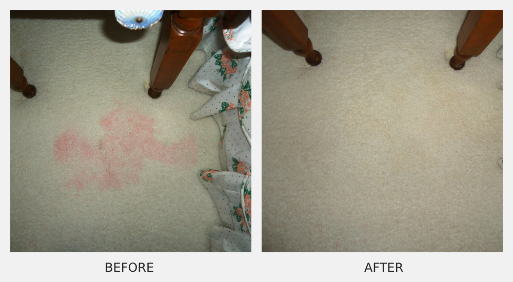 wiz-carpet-cleaning-img01 (1) carpet cleaning services, wiz carpet cleaning