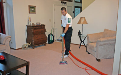 The Truth About Professional Carpet Cleaning and DIY Solutions