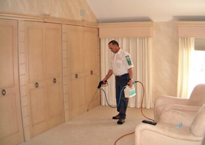 carpet cleaning services, carpet cleaning