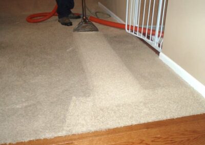 carpet cleaning services, carpet cleaning service