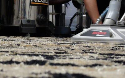 Annual Carpet Cleaning: A Necessity for a Healthy Home