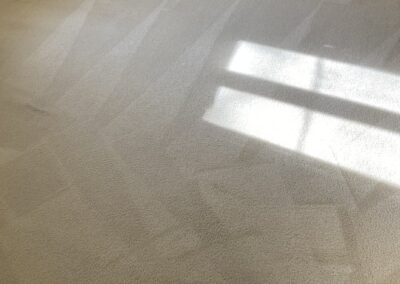 carpet cleaning services, carpet cleaning service