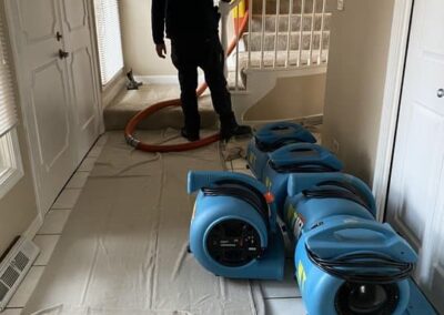 carpet cleaning services, carpet cleaning service
