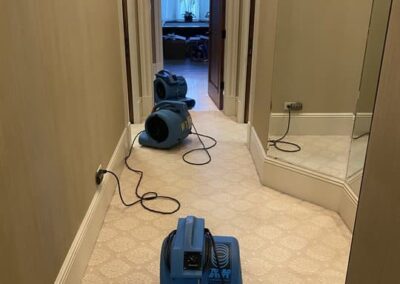 carpet cleaning services, carpet cleaning service