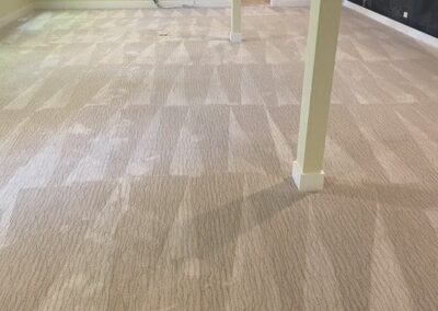 carpet cleaning services, carpet cleaning service