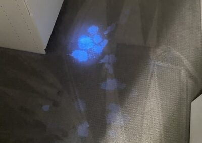 carpet cleaning services, carpet cleaning service
