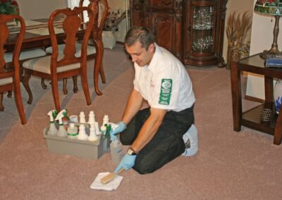 carpet cleaning services, carpet cleaning service