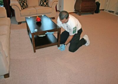 carpet cleaning services, carpet cleaning service