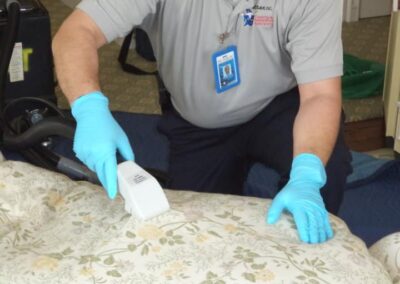 upholstery cleaning services, upholstery fine fabric cleaning
