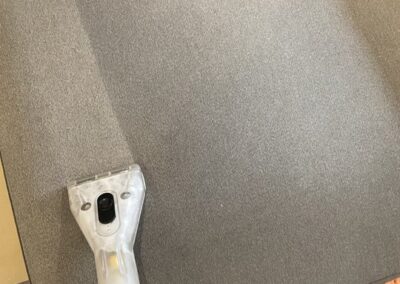 upholstery cleaning services, upholstery fine fabric cleaning